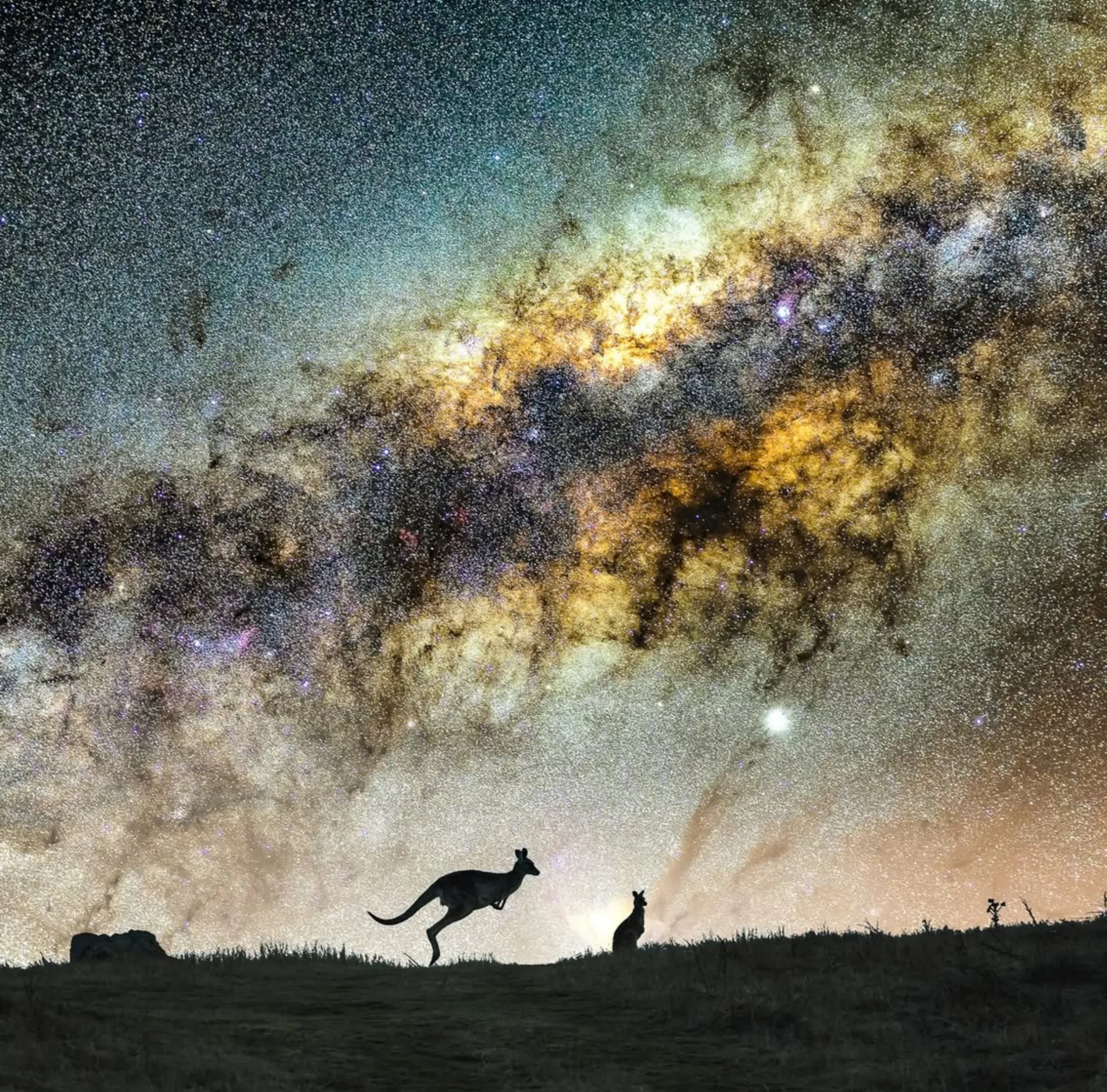 best time for stargazing NT